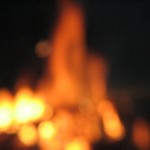 Macro video and photos with the S3 IS